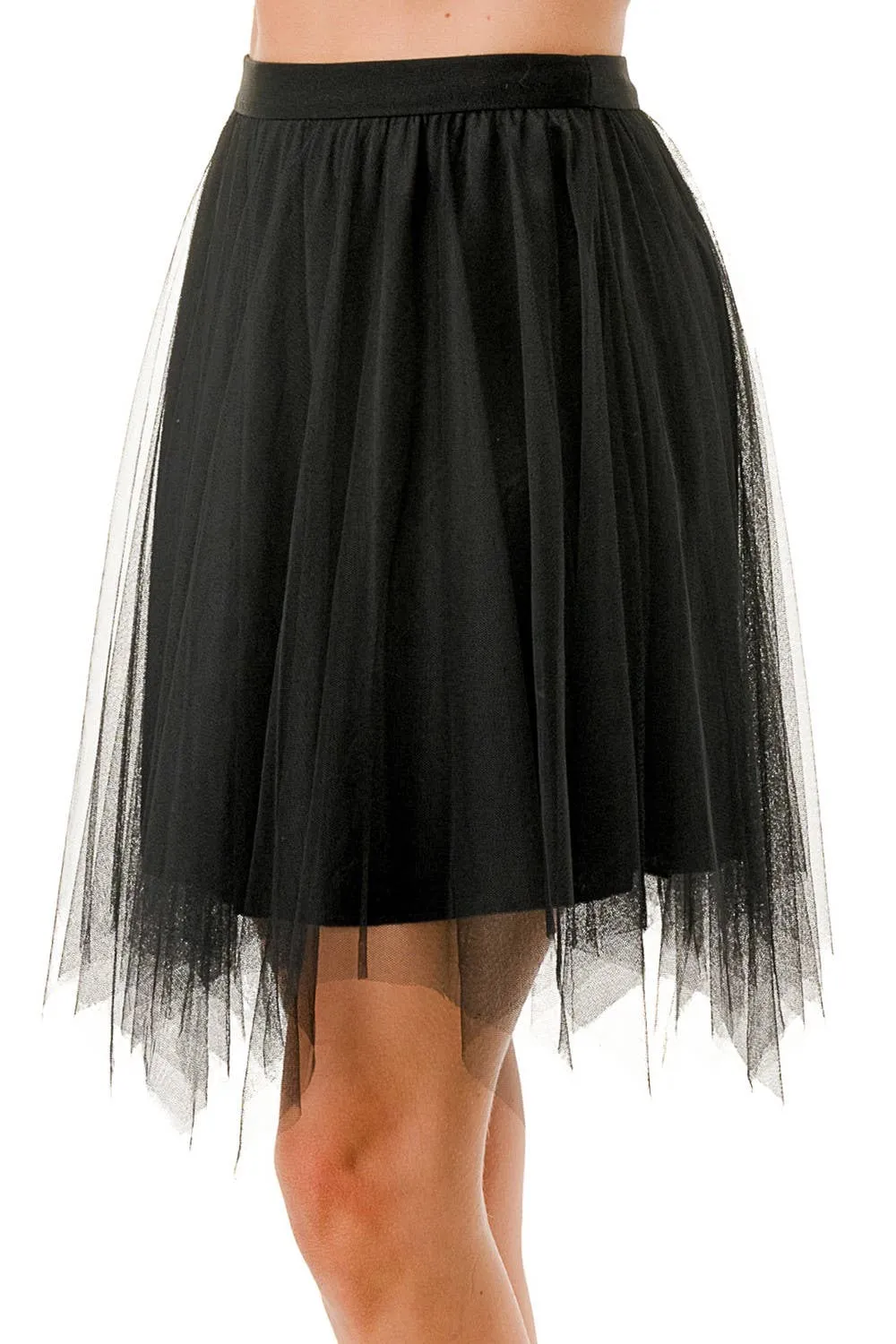 Mesh Pleated Skirt