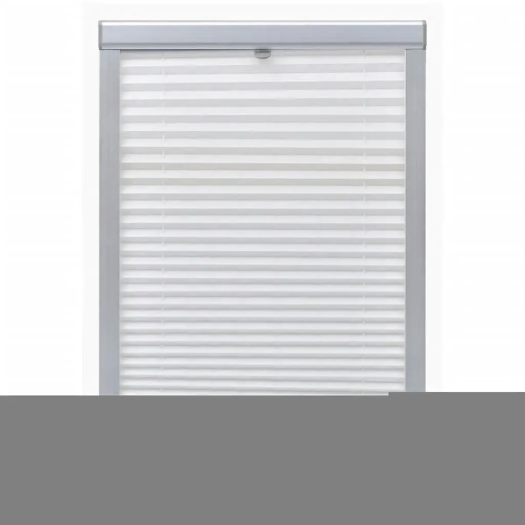 Pleated Blinds White C02